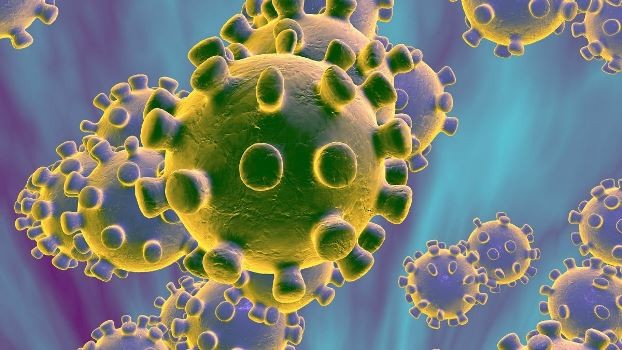 five-coronavirus-suspects-test-negative